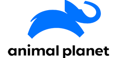 apl.png